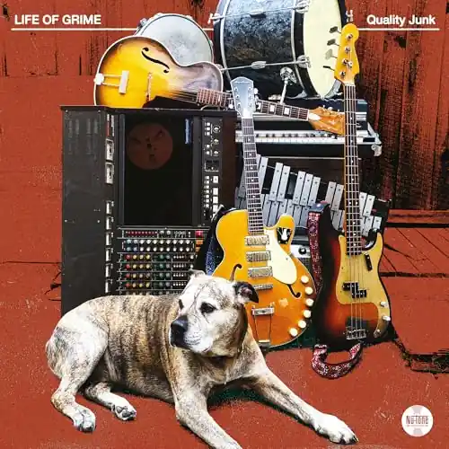 Wholesale Quality Junk (Indie-Exclusive Colored Vinyl LP) | Mint (M) Mint (M)