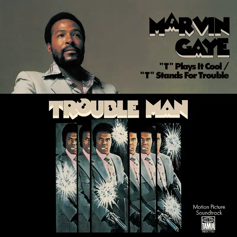 T Plays It Cool / "T" Stands For Trouble | Place Order