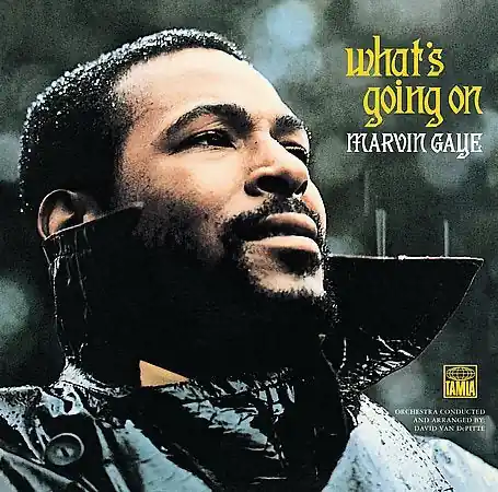 What's Going on (180 Gram Vinyl, Reissue) | Mint (M) Mint (M) Crafted