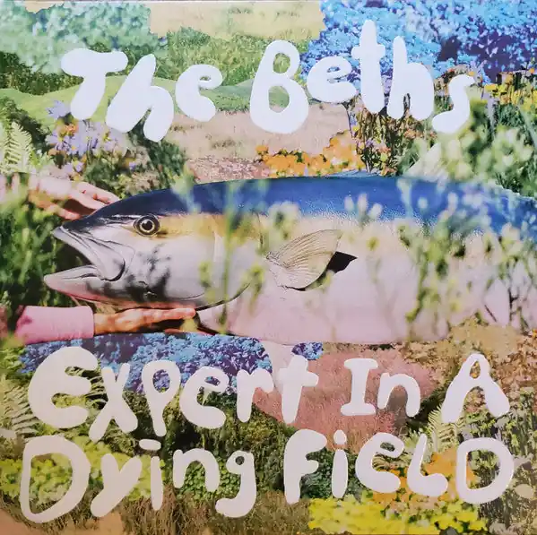 Next Day Delivery The Beths Expert In A Dying Field Carpark Records LP, Album, Can Mint