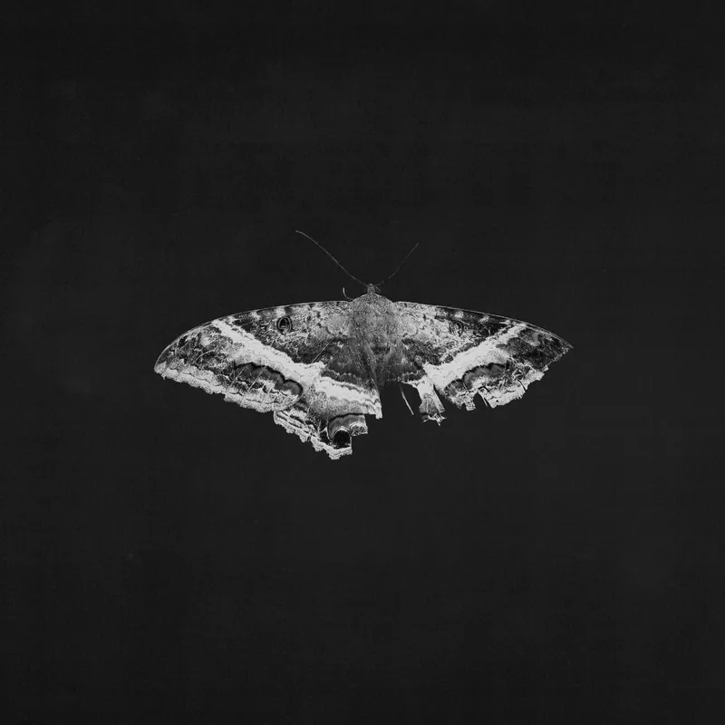 To Pimp A Butterfly (10 Year Anniversary Edition) - Alternate Artwork Place Order