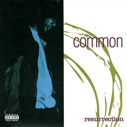 Viral Resurrection (VINYL) | Mint (M) Mint (M)