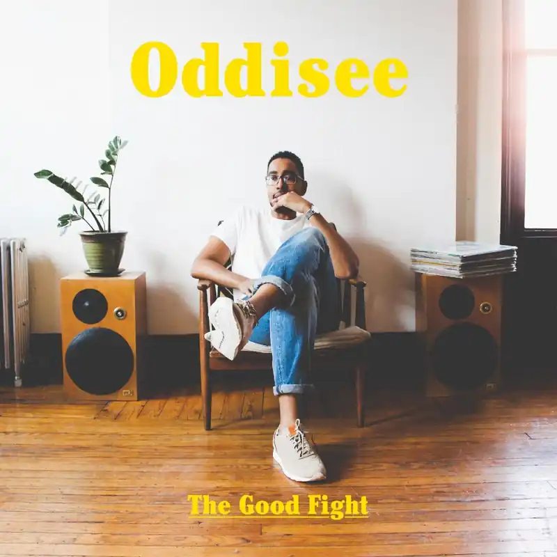 While Supplies Last The Good Fight (Indie Exclusive, Yellow Drop Colored Vinyl) |