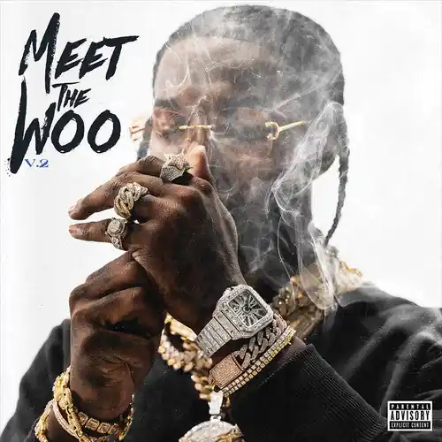 Meet The Woo V.2 (CD) | Mint (M) Mint (M) Latest