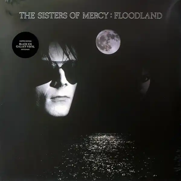 Floodland (COLOR VINYL) | Mint (M) Mint (M) Viral