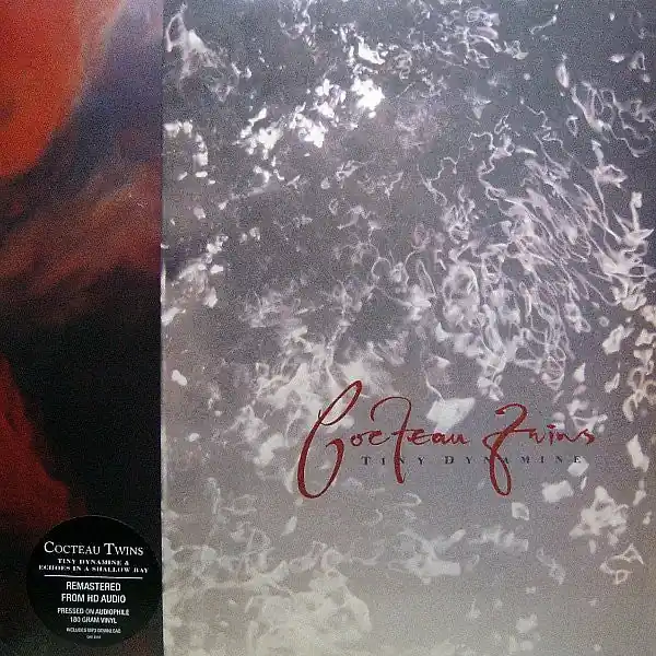 Tiny Dynamine / Echoes In A Shallow Bay | Mint (M) Mint (M) Hot Picks