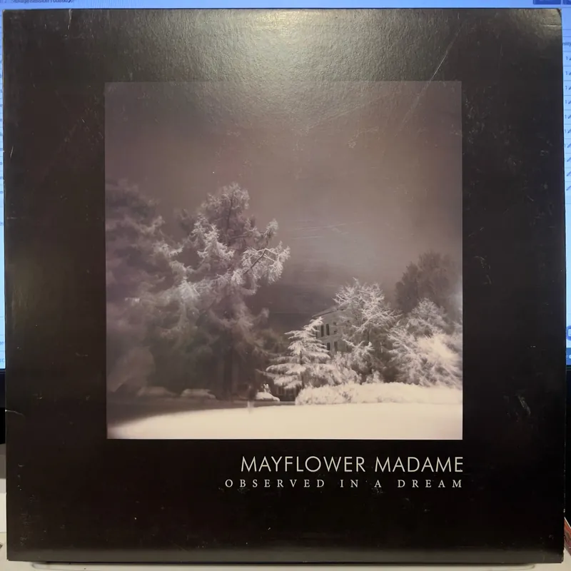 Observed In A Dream | Near Mint (NM) Near Mint (NM) Warranty Included