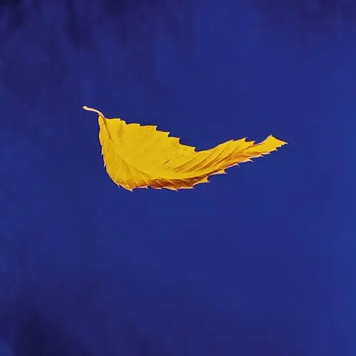 True Faith (2023 Remaster) | Mint (M) Mint (M) Money Back Guarantee