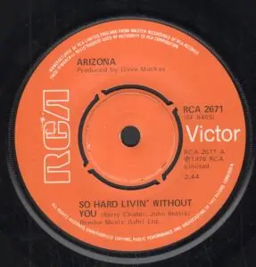 Cheap Arizona (70'S Group) - So Hard Livin' Without You - 7 Inch
