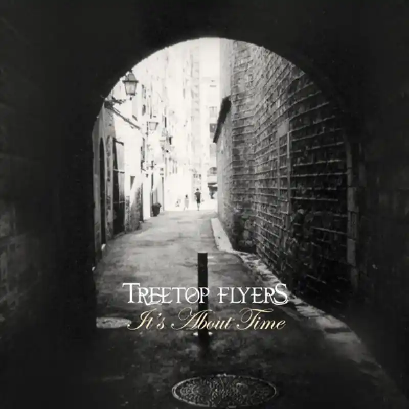 Treetop Flyers - It's About Time - 7 Inch Genuine