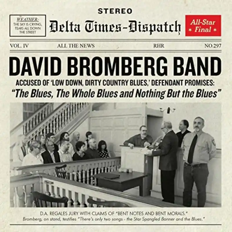 David Bromberg Band - Blues, the Whole Blues, and Nothing But the Blue Crafted