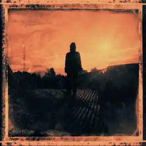 Wilson, Steven/Grace For Drowning [LP] Order Now
