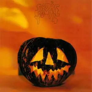 Affordable Sonic Youth/The Walls Have Ears [LP]
