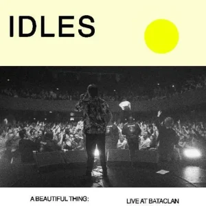 While Supplies Last Idles/A Beautiful Thing [LP]