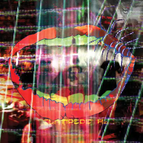 Animal Collective/Centipede Hz [LP] Fast Shipping