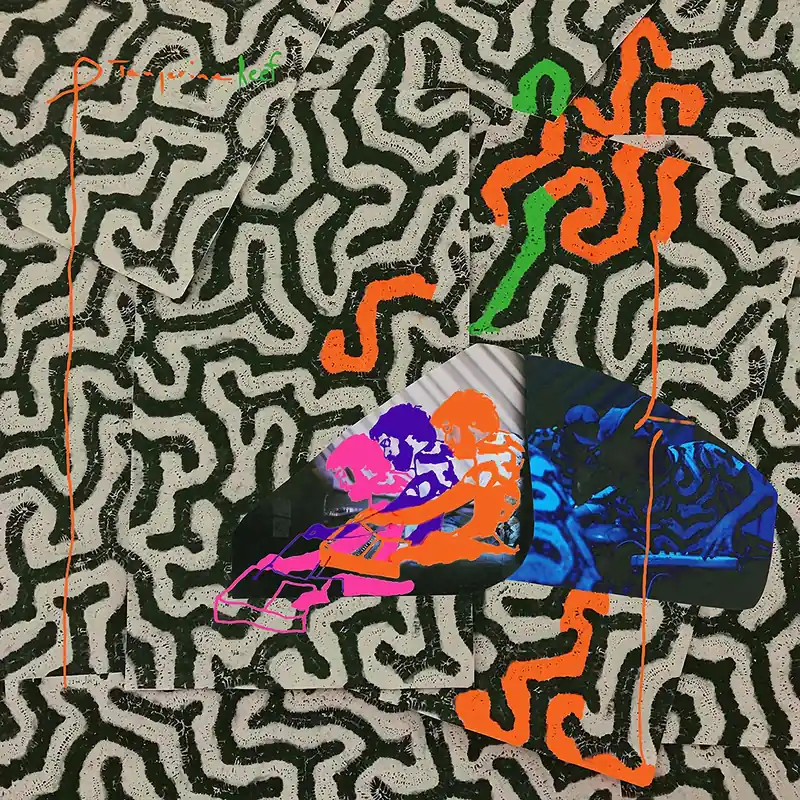 Animal Collective/Tangerine Reef [LP] Must Have