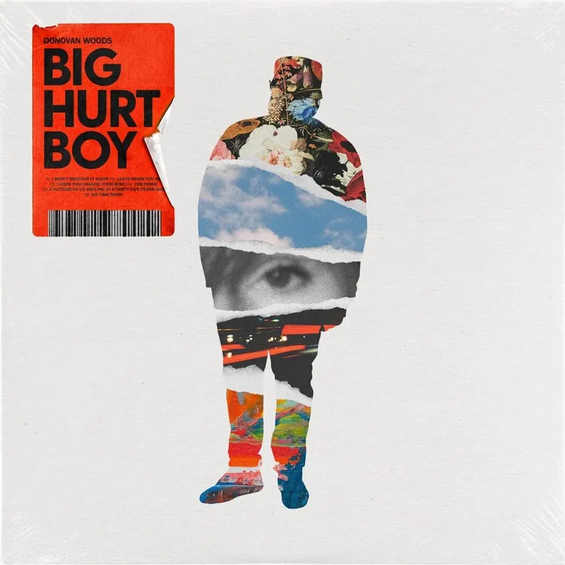 Woods, Donovan/Big Hurt Boy [Compact Disc] Trending