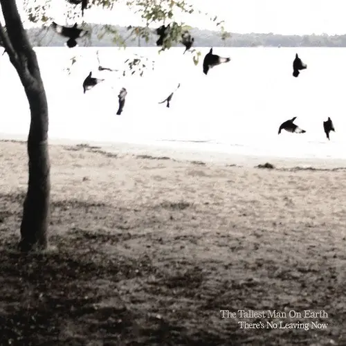 While Supplies Last Tallest Man On Earth, The/There's No Leaving Now [CD]