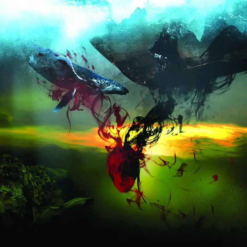 A Storm of Light - And We Wept the Black Ocean Within - Cd In Demand