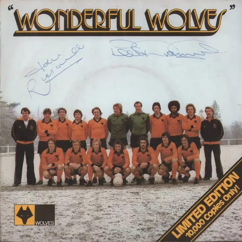 Wolves Cup Squad - Wonderful Wolves - 7 Inch Secure Checkout