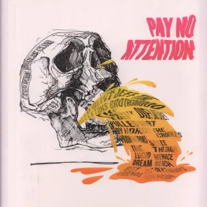 Various Artists - Pay No Attention - Lp Best Price