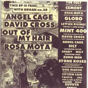 Various Artists - Organ 38 - 7 Inch Wholesale