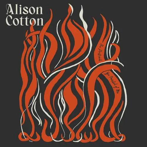 Alison Cotton - Portrait You Painted of Me - Cd Next Day Delivery