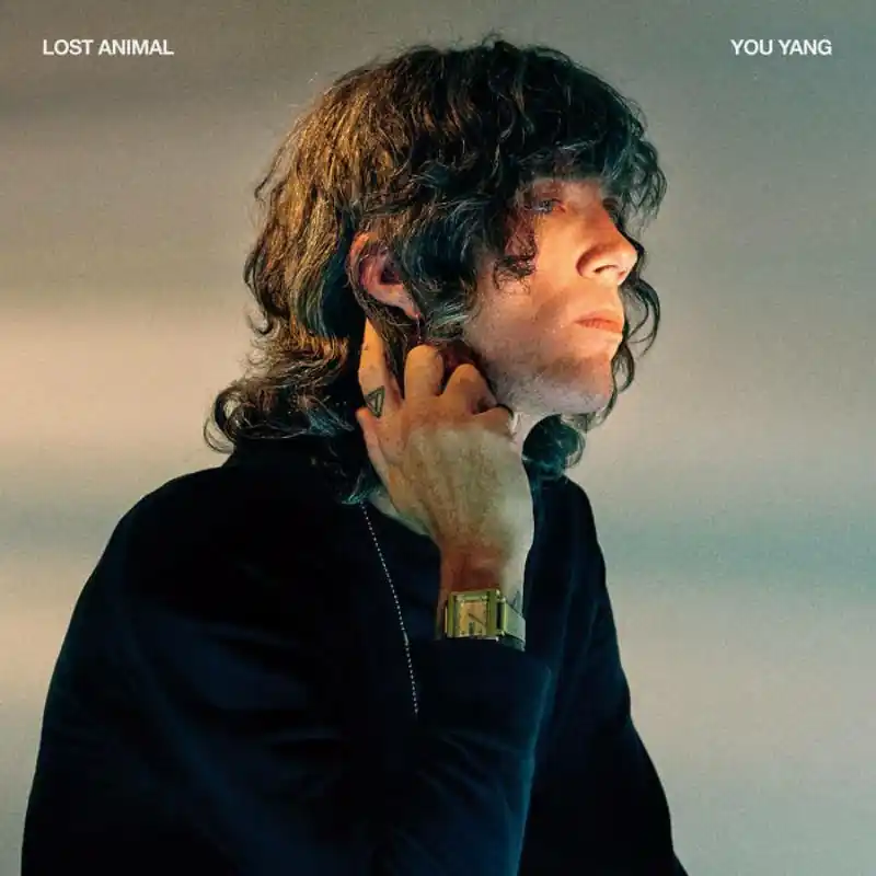 Viral Lost Animal - You Yang - Lp