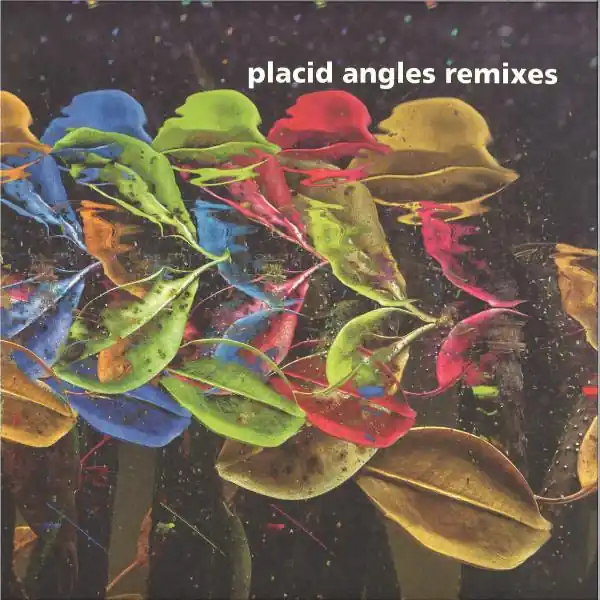 Deal Placid Angles - Touch The Earth Remixes - Double Lp