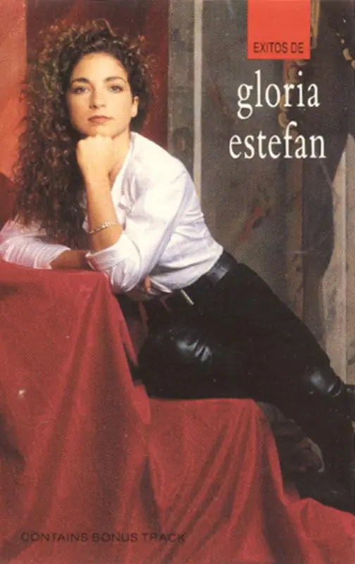 Premium Gloria Estefan - Exitos De Gloria Estefan - Cassette