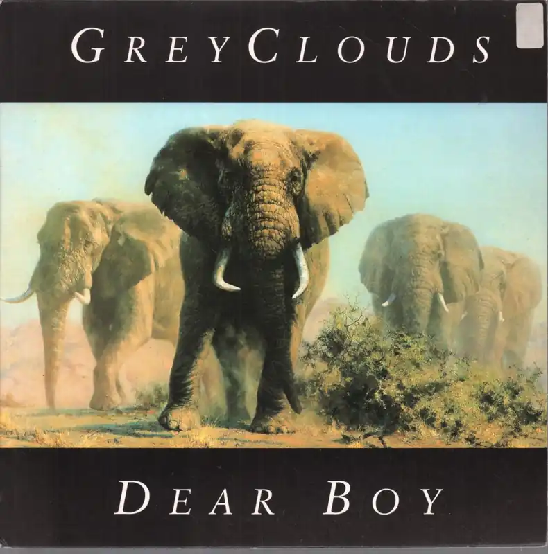 dear boy - Grey Clouds - 7 Inch Secure Checkout