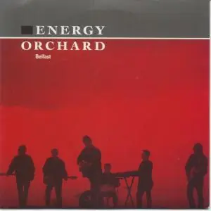 Energy Orchard - Belfast - 7 Inch Same Day Shipping