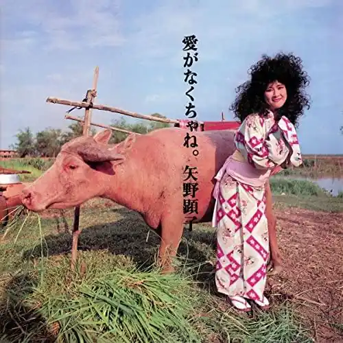 Special Offer Akiko Yano - Ai Ga Nakucha Ne - Cd
