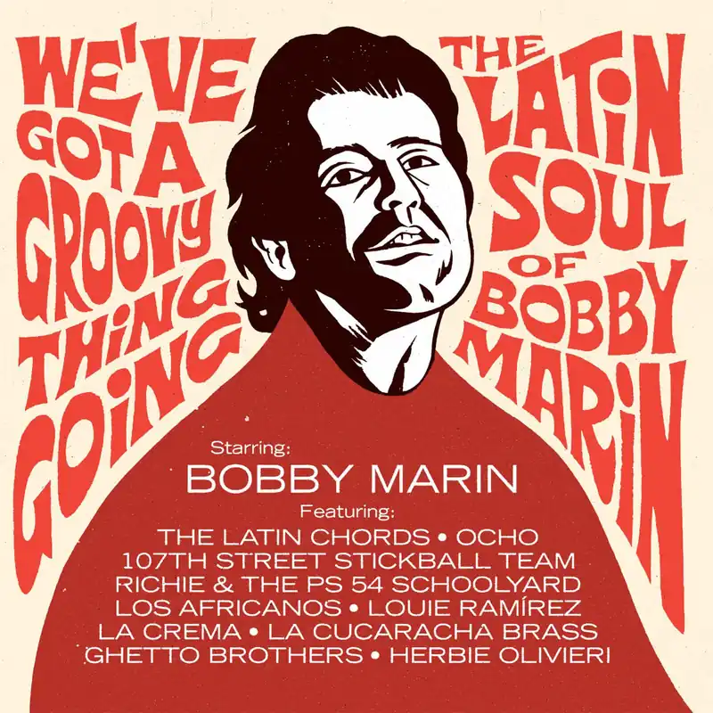 Various Artists - We've Got A Groovy Thing Going: the Latin Soul of Bo Grab Now